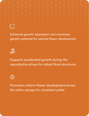 HGV Dry - Flower - 25 lbs.