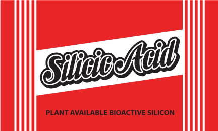 Elite 91 Silicic Acid, 1000 ml