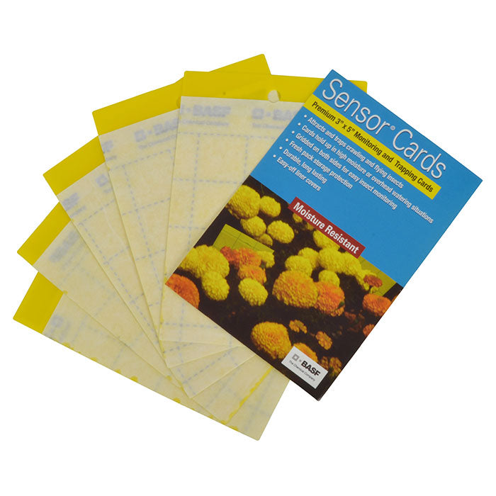 BASF Sensor Cards Yellow Monitoring and Trapping Cards - Pack of 50