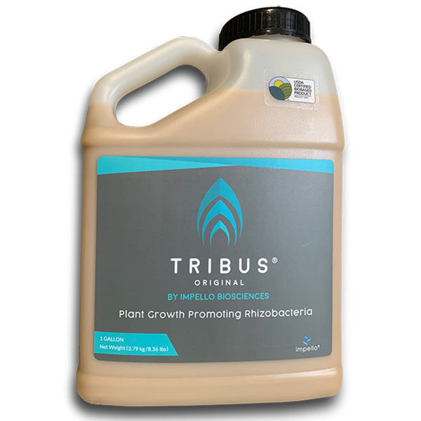 Impello Biosciences Tribus Original Rhizobacteria Inoculant - 4 Liter