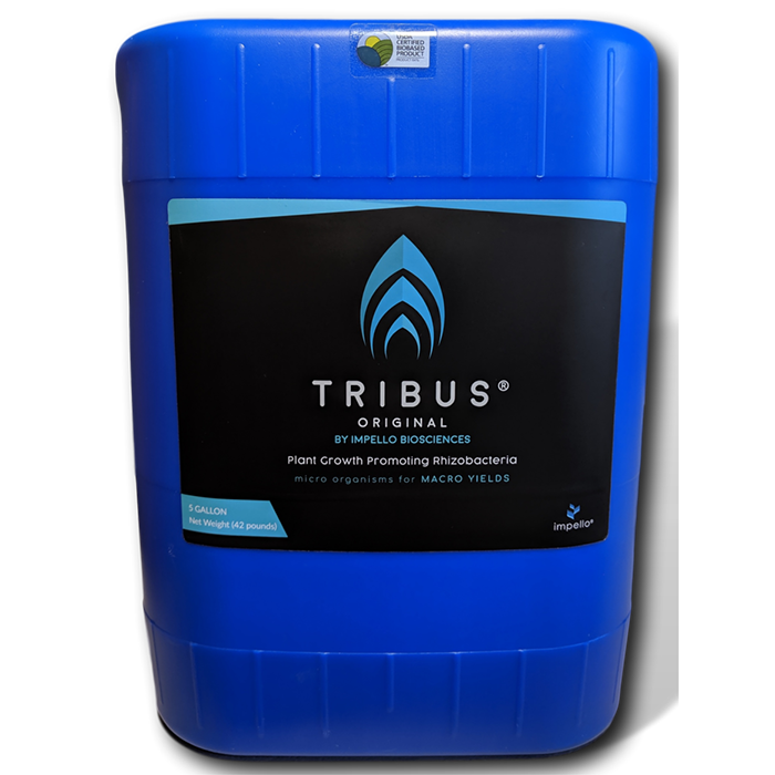 Tribus Original 5 gallon