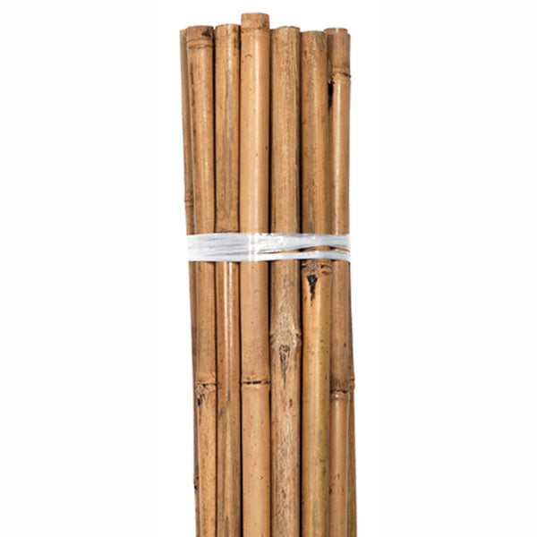 Grower's Edge Natural Bamboo 8 ft Bulk (50/Pack)
