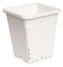 Active Aqua 9" x 9" Square White Pot, 10" Tall, Case of 24